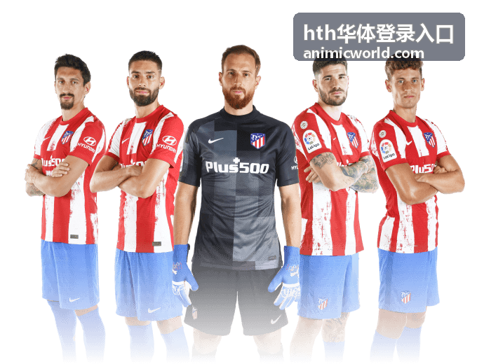 hth华体登录入口全天候支持服务